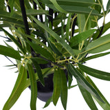 Artificial Bamboo Black Bamboo 160cm Real Touch Leaves