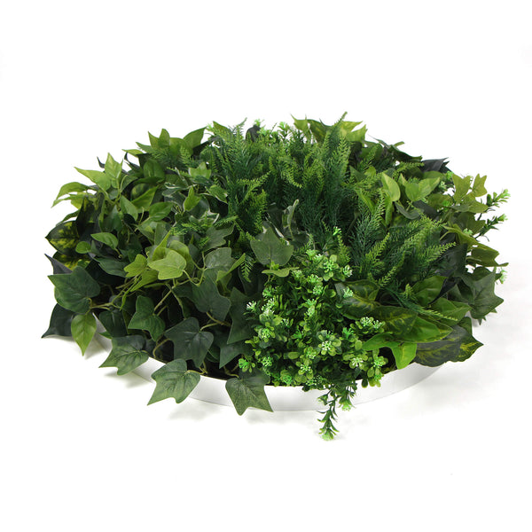 Slimline Artificial Green Wall Disc Art 60cm Mixed Green Fern & Ivy (Fresh White)